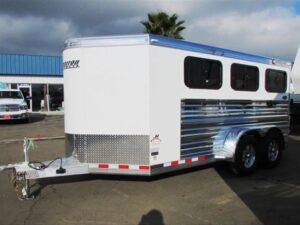 2019 Cimarron Showstar 6 pen